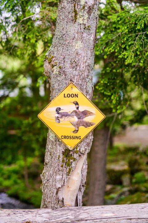 Loon Crossing sign | Pyramid Life Center